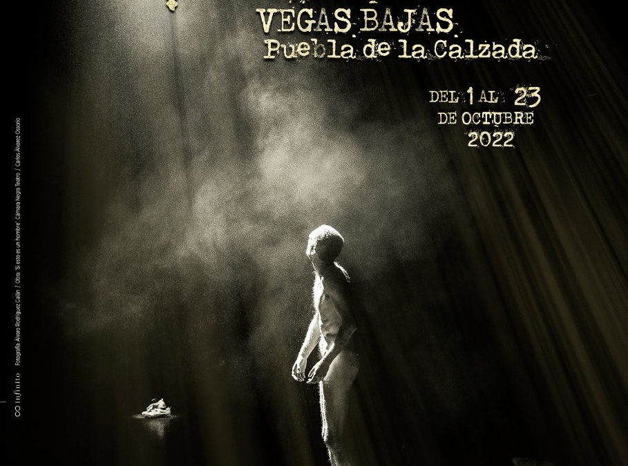 Cartel anunciador 41 Festival «Vegas Bajas».