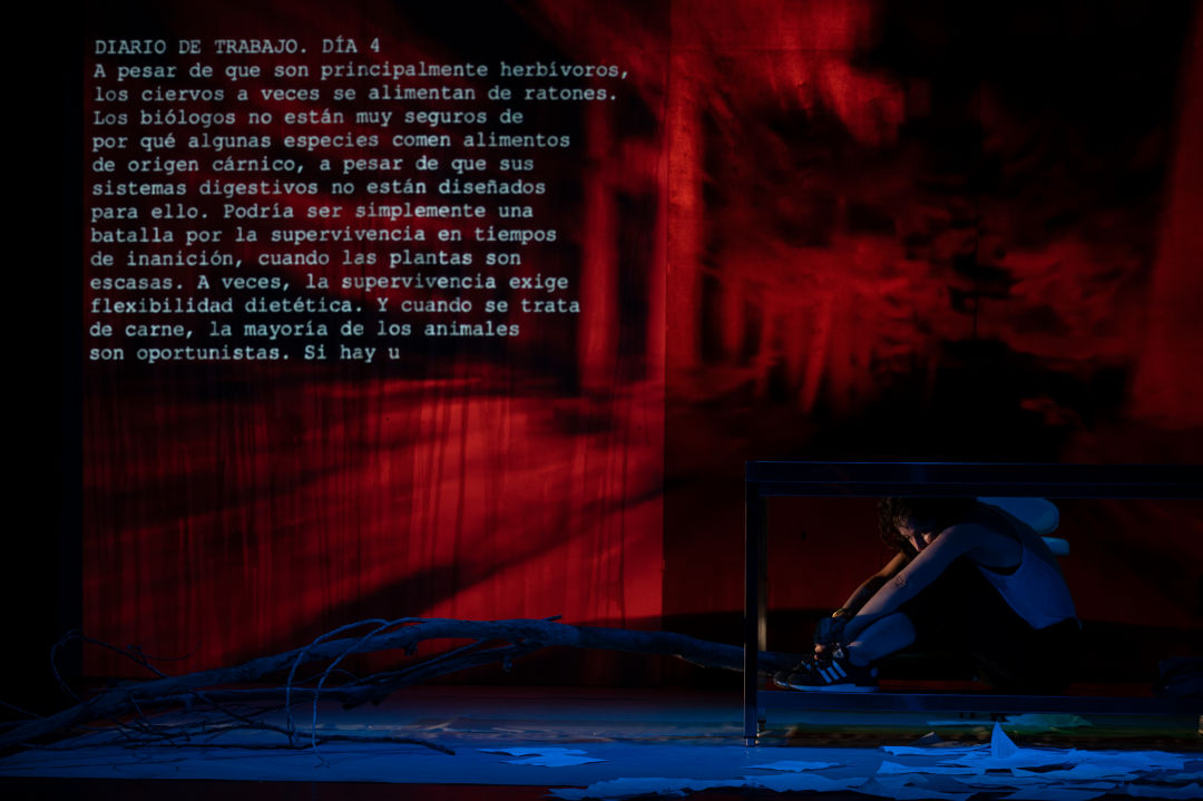 41 Festival Nacional de Teatro "Vegas Bajas"